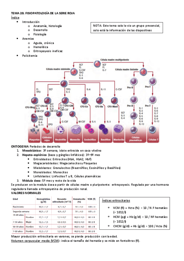 Miniatura del documento TEMA-20.pdf
