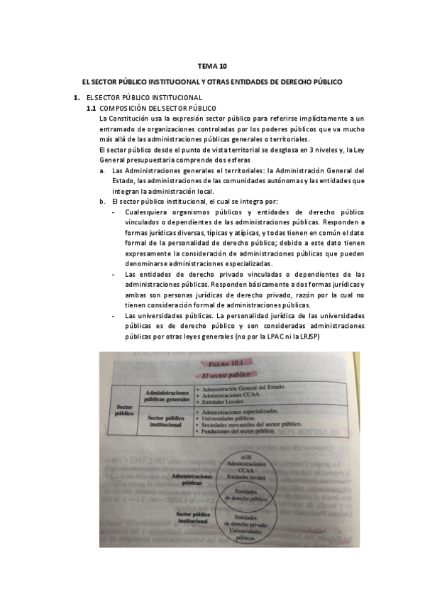 Miniatura del documento TEMA-10-PDF.pdf