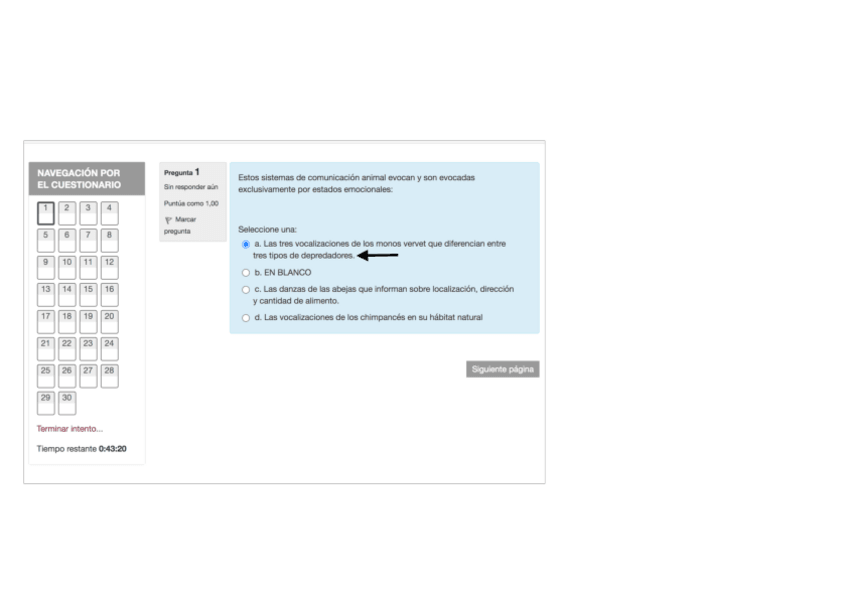 Miniatura del documento SIMULACRO-LENGUAJE-PREGUNTAS-1-30.pdf