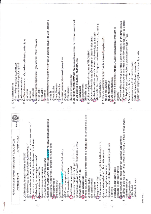 Miniatura del documento Exámen neuro.pdf