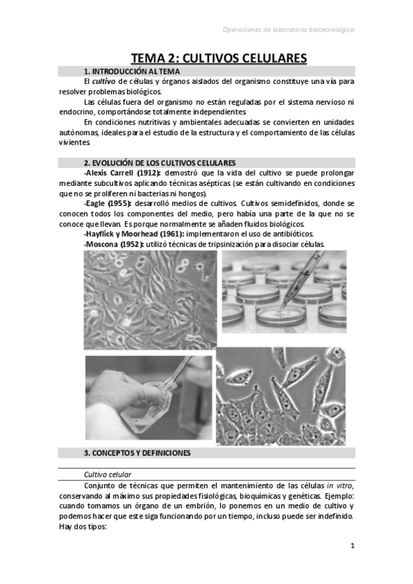 Miniatura del documento Tema2CULTIVOS-CELULARES.pdf