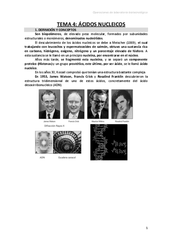 Miniatura del documento Tema4ACIDOS-NUCLEICOS.pdf