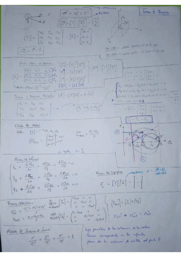 Miniatura del documento ERM1.pdf