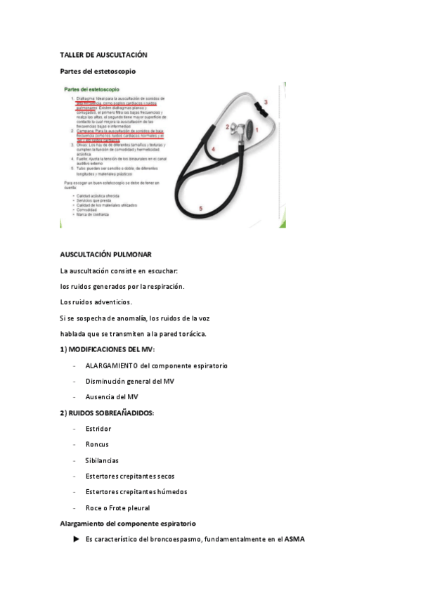 Miniatura del documento TALLER-DE-AUSCULTACION-FISIOPATO.pdf