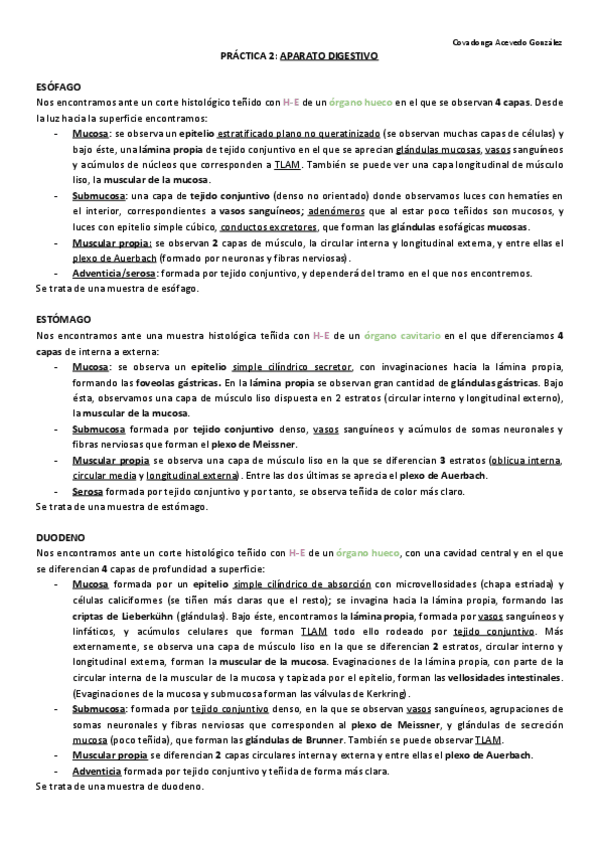 Miniatura del documento Practicas-histologia.pdf