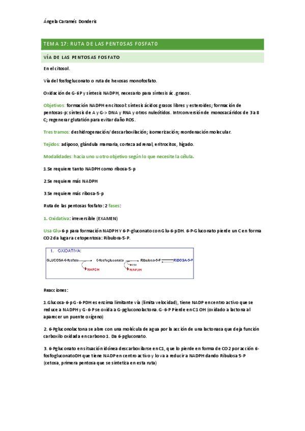 Miniatura del documento Tema-17.pdf