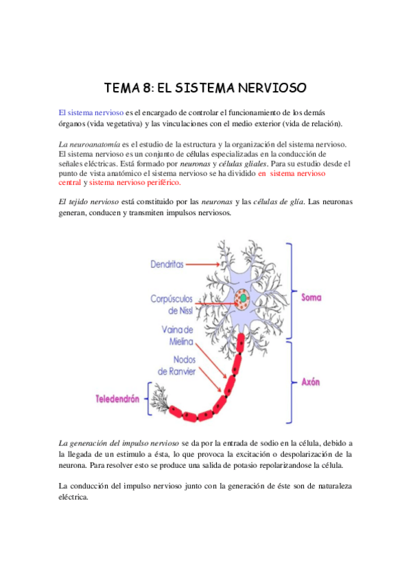 Miniatura del documento TEMA-8.pdf