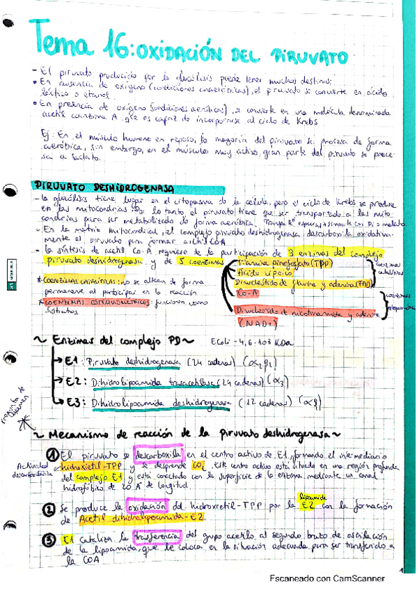 Miniatura del documento CamScanner-01-23-2021-08.pdf