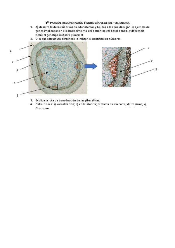 Miniatura del documento PRIMER-PARCIAL-RECUPERACION.pdf
