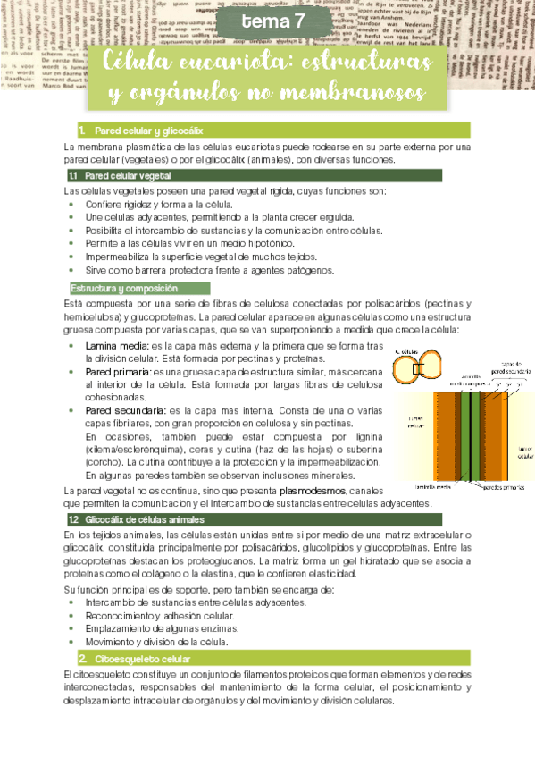 Miniatura del documento TEMA-7.pdf