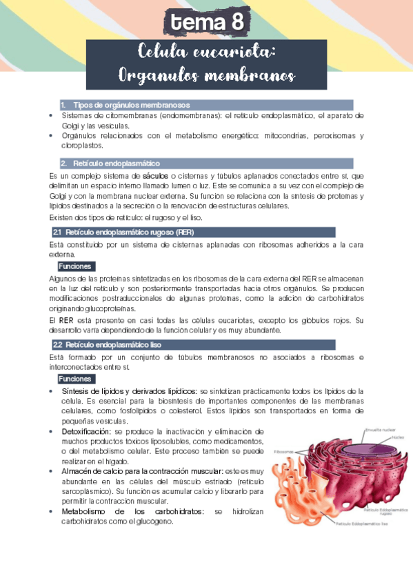 Miniatura del documento TEMA-8.pdf