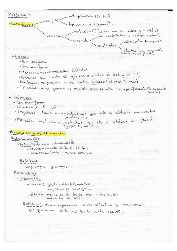 Miniatura del documento MORFOLOGIA.pdf