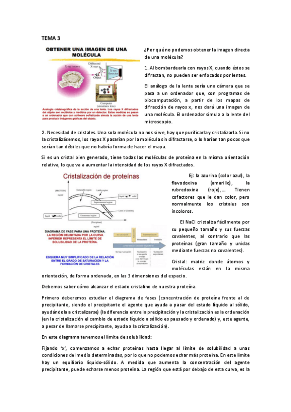Miniatura del documento Tema 3.pdf