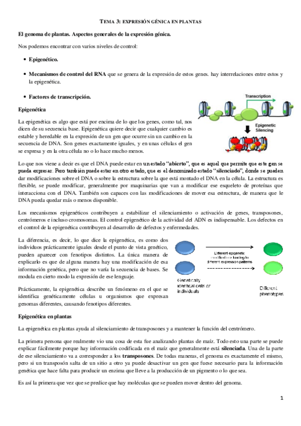 Miniatura del documento Tema 3. Bio Molecular.pdf