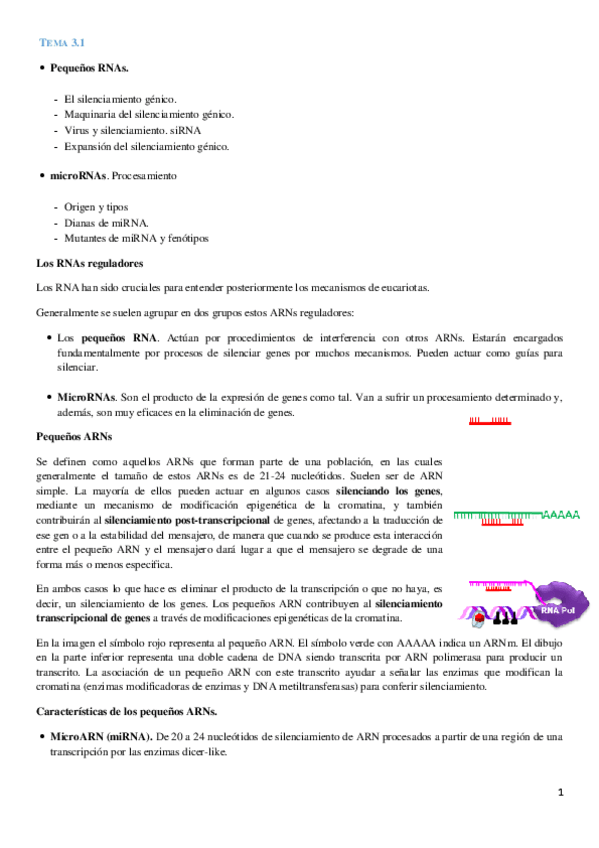 Miniatura del documento Tema 3.1. Bio Molecular.pdf