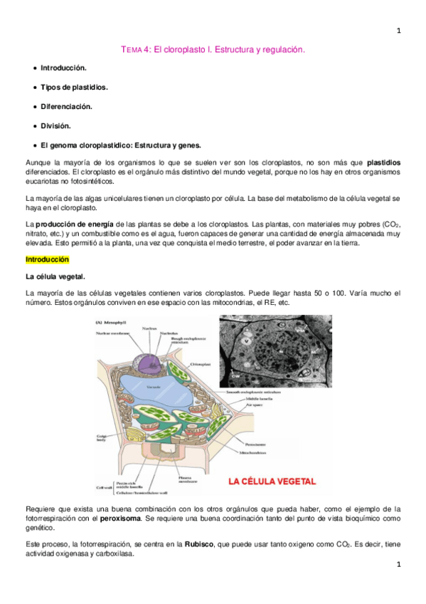 Miniatura del documento Tema 4. Bio Molecular.pdf