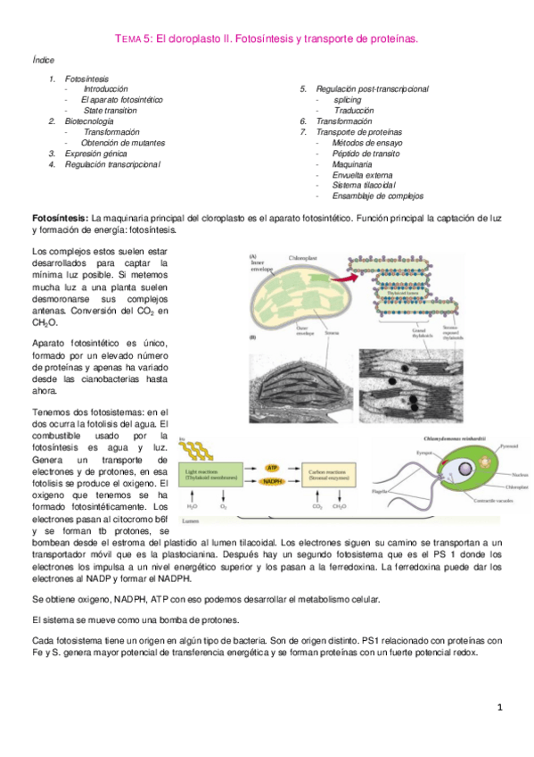 Miniatura del documento Tema 5. Bio Molecular.pdf