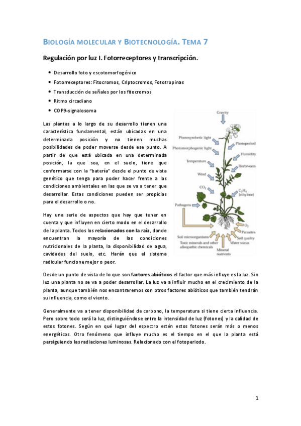 Miniatura del documento Tema 7. Bio Molecular.pdf
