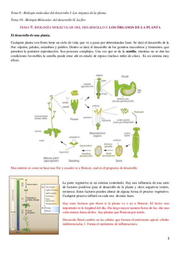 Miniatura del documento Tema 9. Bio Molecular.pdf