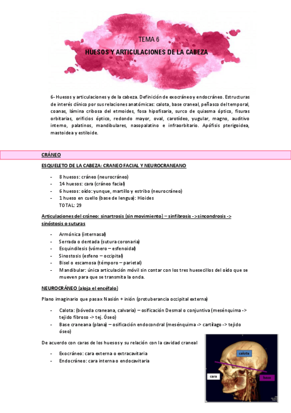 Miniatura del documento TEMA-6.pdf