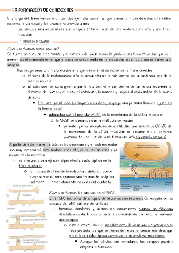 Miniatura del documento tema-4-parte2.pdf