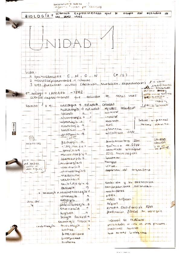 Miniatura del documento biomoleculas-organicas-e-inorganicas.pdf