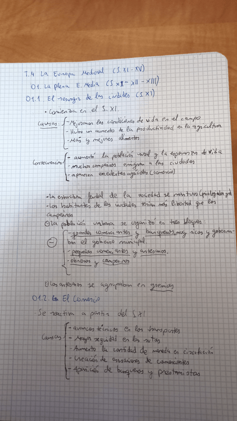 Miniatura del documento IMG20210123213552.jpg