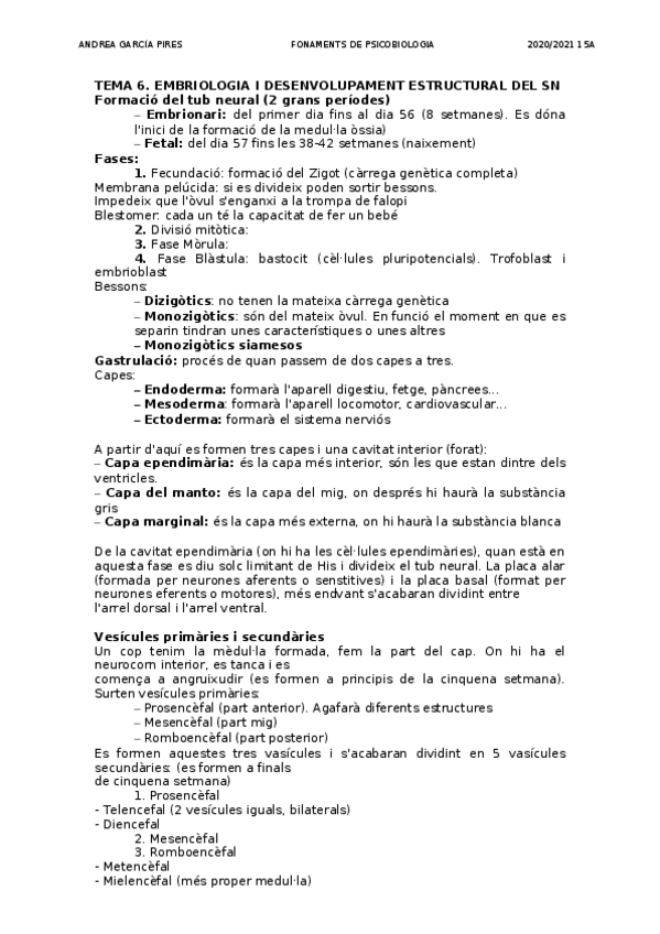 Miniatura del documento TEMA-6-EMBRIOLOGIA-I-DESENVOLUPAMENT-ESTRUCTURAL-DEL-SN.docx