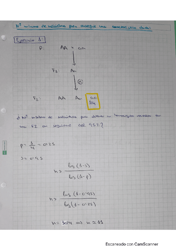 Miniatura del documento Numero-minimo-de-individuos-para-conseguir-una-caracteristica-dada.pdf
