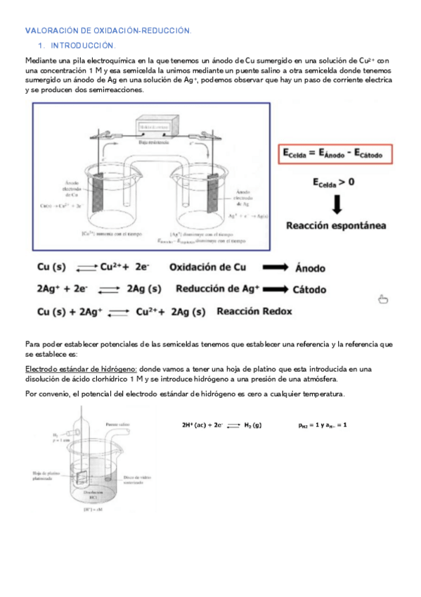 Miniatura del documento TEMA-10.pdf