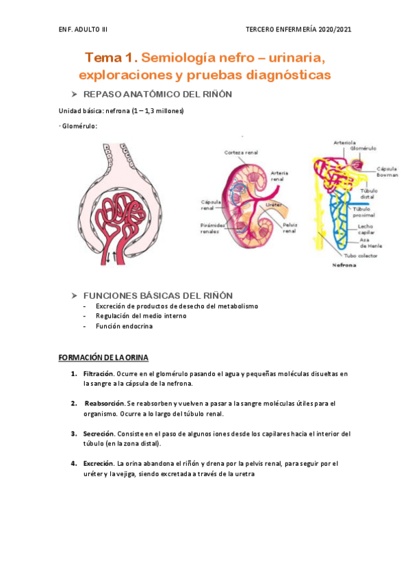 Miniatura del documento Temario-completo-ADULTO-III.pdf