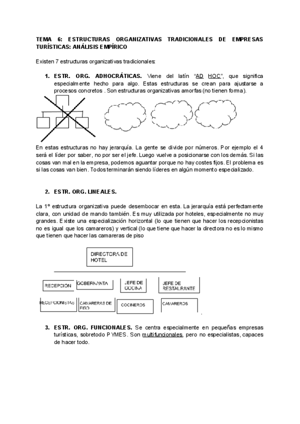 Miniatura del documento ORGANIZACION-T6.pdf