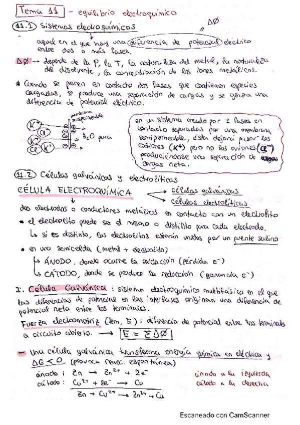 Miniatura del documento Tema-11-equilibrio-electroquimico.pdf