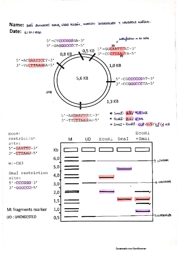 Miniatura del documento EJERCICIOS-PRIMER-PARCIAL.pdf