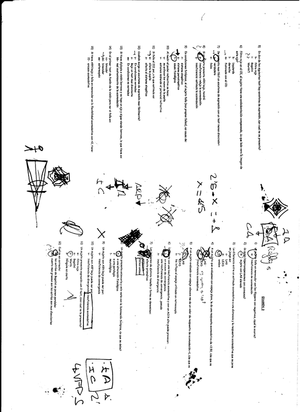 Miniatura del documento 3.jpg