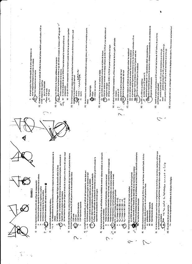 Miniatura del documento 1.jpg