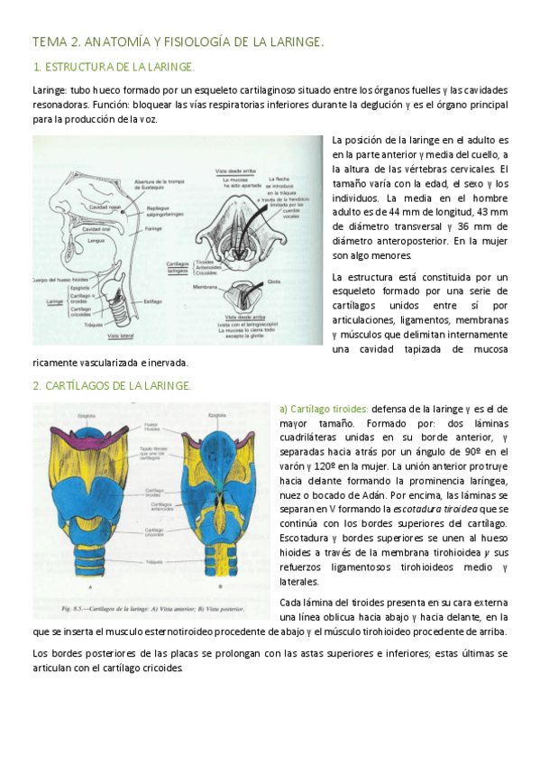 Miniatura del documento TEMA-2.pdf
