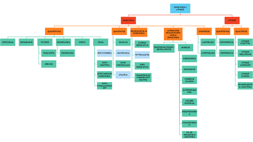 Miniatura del documento adults.pdf
