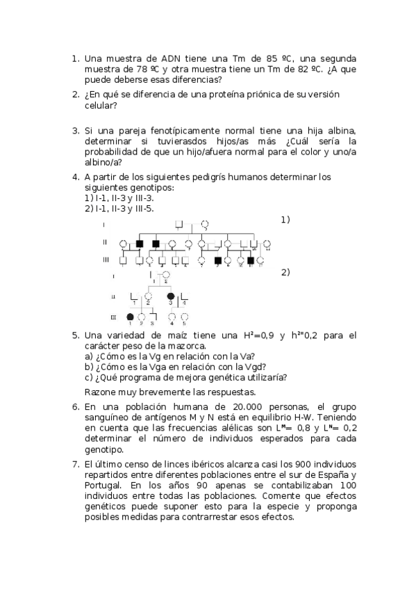 Miniatura del documento examen-teoria-5.docx