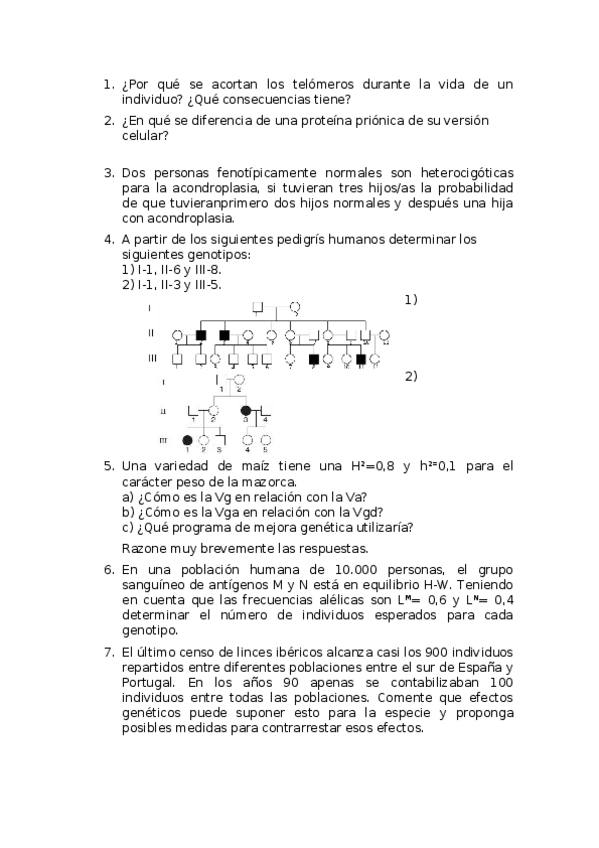 Miniatura del documento examen-teoria-6.docx
