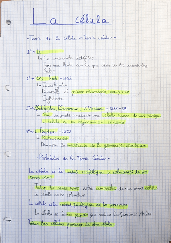 Miniatura del documento BIOcelulasYtejidos.pdf