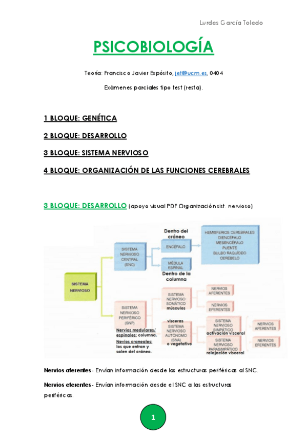 Miniatura del documento Apuntes-psicobiologia-SN-y-organizacion-cortical-Lurdes.pdf