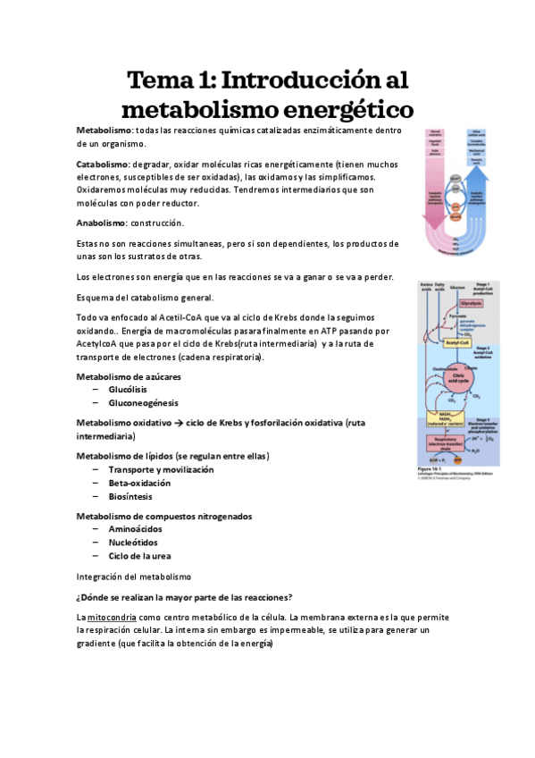 Miniatura del documento Todo-Bioquimica-.pdf
