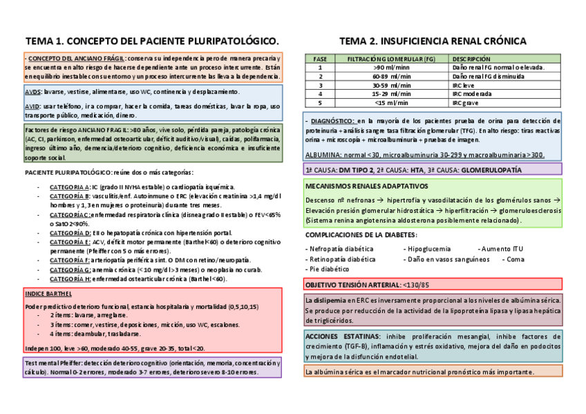 Miniatura del documento Resumenes enfermo pluripatológico.pdf