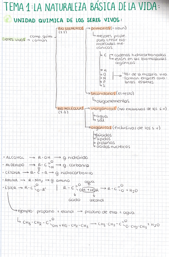 Miniatura del documento Esquema-introduccion-.png