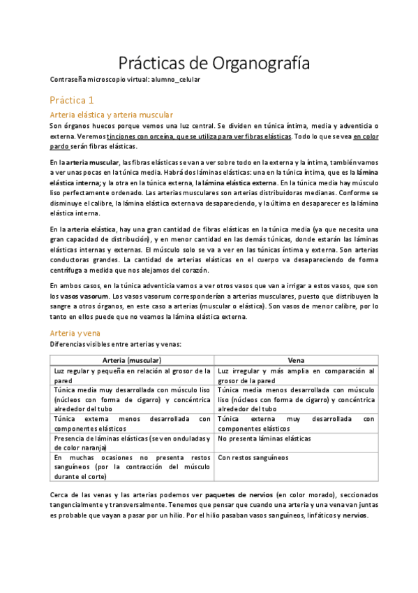Miniatura del documento Practicas-de-Organografia.pdf