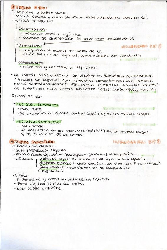 Miniatura del documento tejido-animal-llll.png