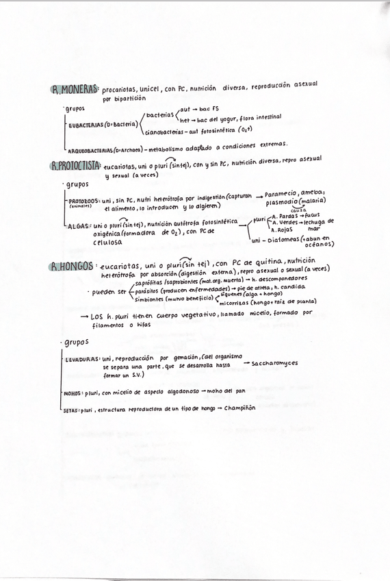 Miniatura del documento reino-l.png