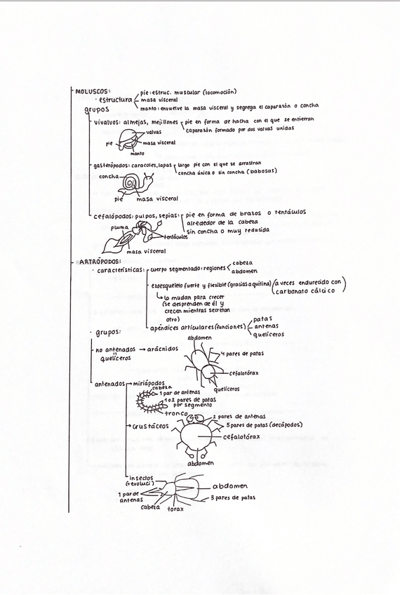 Miniatura del documento reino-lll.png