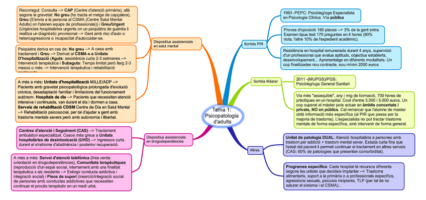 Miniatura del documento Tema-1-Psicopatologia-dadults.pdf